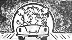 Reni und Reini - Die Autofahrt